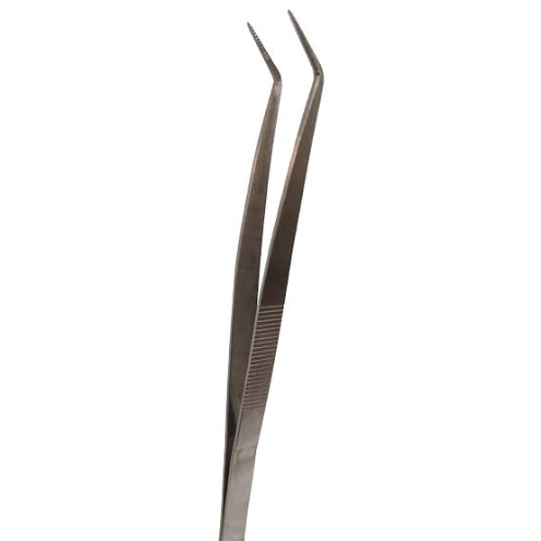 Indian Tweezer 