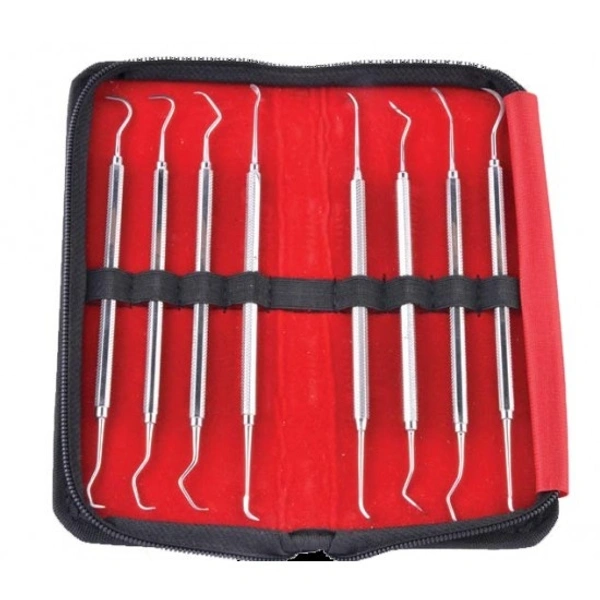 GDC Perio Scalers Set of 8