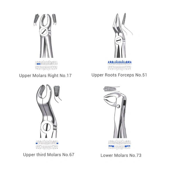 Walldent Waldent Extraction Forceps Kit Set of 12 (K1/1)Upper and Lower Extraction Forceps made of high-grade Stainless Steel.