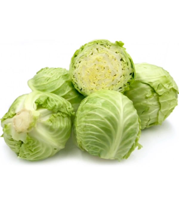 முட்டைக்கோஸ்