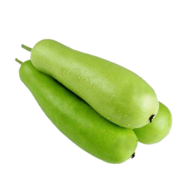 சுரைக்காய்