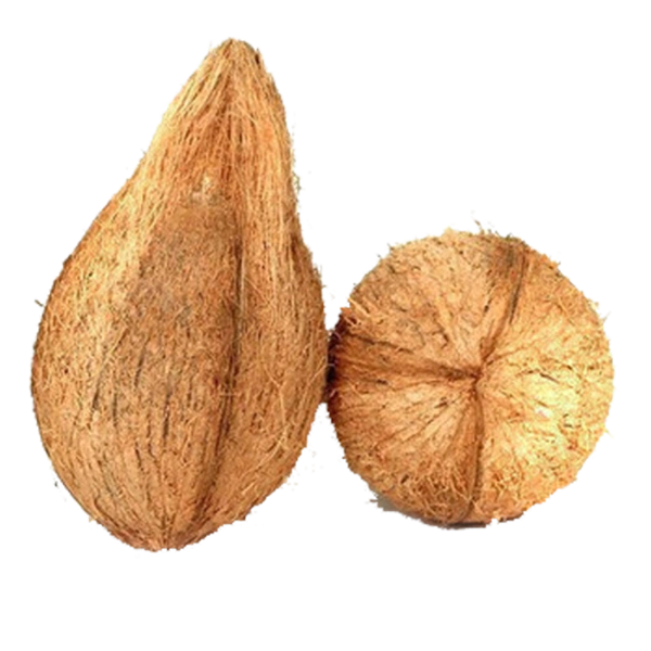 தேங்காய்