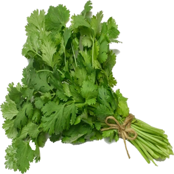 கொத்தமல்லி