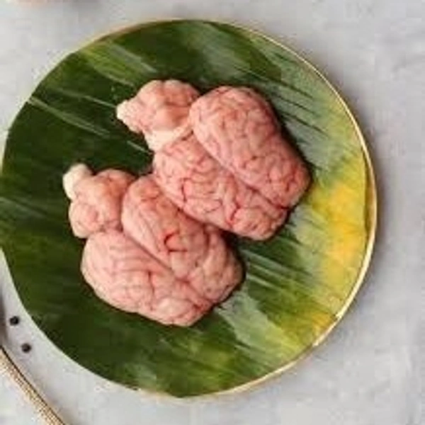 Goat Brain (1 pcs)