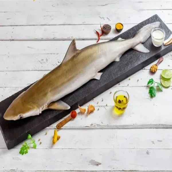 Shark - 1Kg