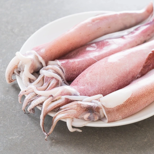 Squid Fish - 1 Kg
