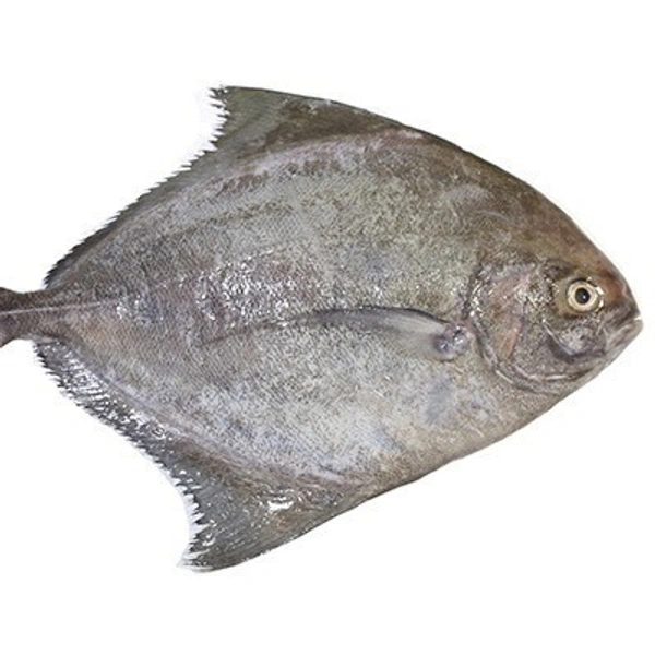 Black Pomret Fish - 1 kg