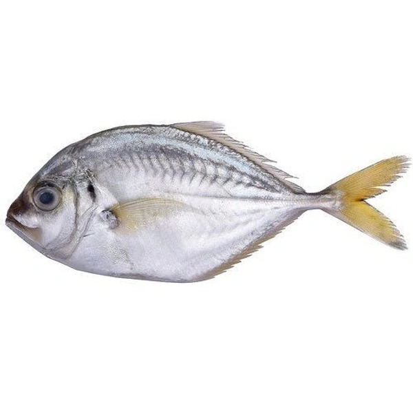 Paarai - 1 kg