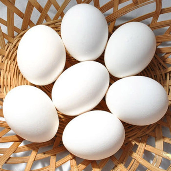 Egg - 6