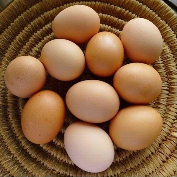 Egg (Organic) - 6