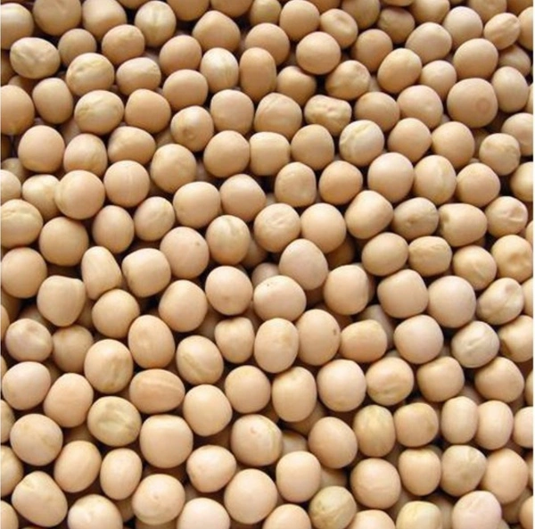 Matar  (White) - 750 Gram