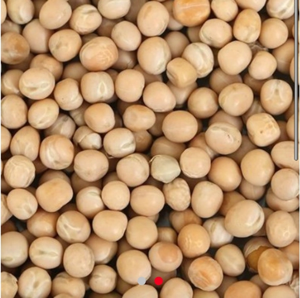 Matar  (White) - 250Gram