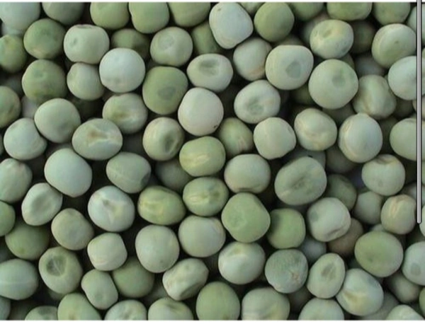 Matar (Green) - 250Gram