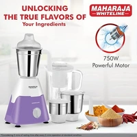 MAHARAJA WHITELINE MIXTRON ELITE 750-WATT MIXER GRINDER 4 JARS - White, 51, 29, 23