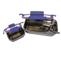 VIRTUE GOURMET LARGE 2PC SET STAINLESS STEEL LUNCH BOX - Gray, 20, 10, 15