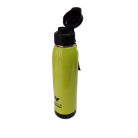 VIRTUE STEELO COOL 900 ML INSULATED WATER BOTTLE - Green, 10, 26, 10