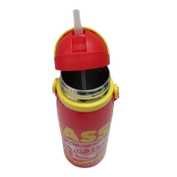 VIRTUE ADVENTURE TIME 600 ml INSULATED WATER BOTTLE - Red, 8, 20, 8