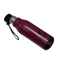 VIRTUE STEELO CLASSY 600 ML STAINLESS STEEL BOTTLE - Melanzane, 8, 24, 8