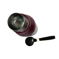 VIRTUE STEELO CLASSY 600 ML STAINLESS STEEL BOTTLE - Melanzane, 8, 24, 8