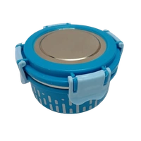 VIRTUE SUPER LIFESTYLE 2 CONTAINER LUNCH BOX - Blue Violet, 22, 8, 12