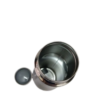 VIRTUE JUPITER 1000ml INSULATED STAINLESS STEEL BOTTLE - Gray, 8, 28, 8