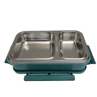 VIRTUE FUN FOOD 2 PARTITION STAINLESS STEEL LUNCH BOX - Pixie Green, 20, 7, 15