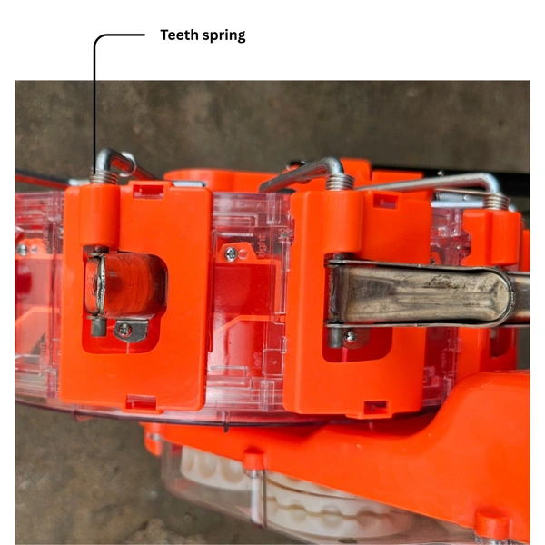 Manual seeder teeth spring