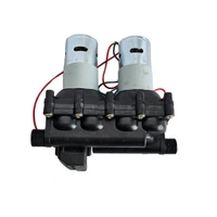 Heavy 20LPM Double Motor for Portable Sprayer