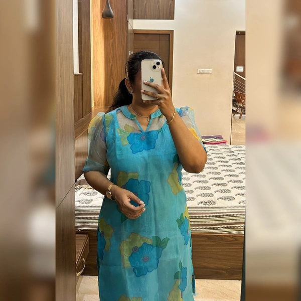 Sky blue Organza ( With Lining) - XXL