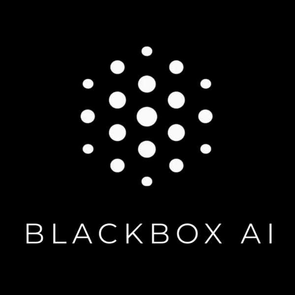 BLACK BOX AI – 3 Month [Business Plan]