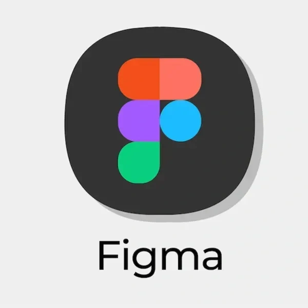  Figma Professional [2 Year]