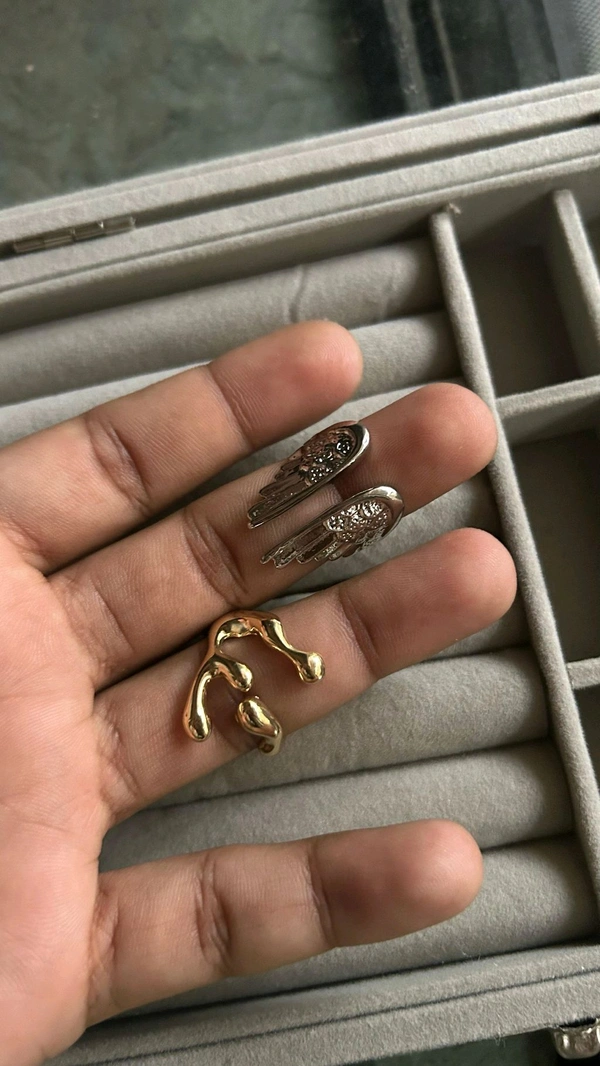 stainless steel rings  - Wings