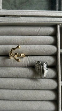 stainless steel rings  - Wings