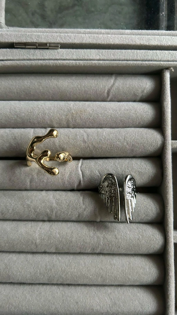 stainless steel rings  - Wings
