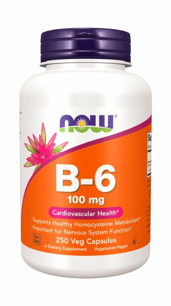 Now Vitamin B-6 100 mg  - 250 Veg Capsules