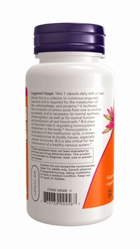 Now Vitamin B-6 100 mg  - 250 Veg Capsules