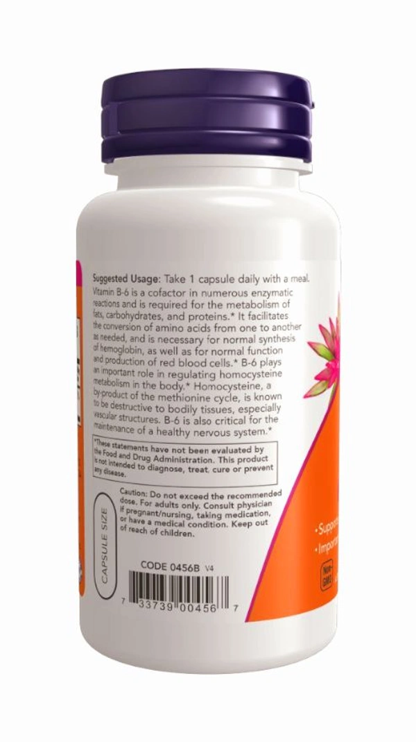 Now Vitamin B-6 100 mg  - 250 Veg Capsules