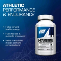 GAT Sport L-Carnitine  - 60CAPS