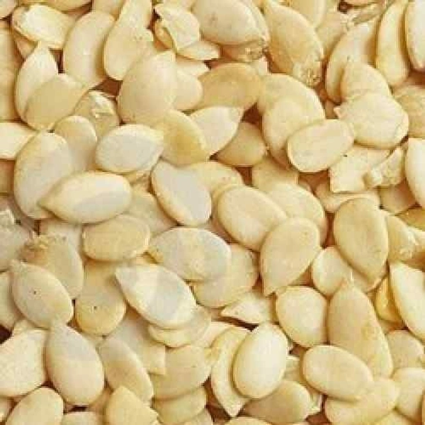 Tarbuj Magaj  50gm - 50 gm