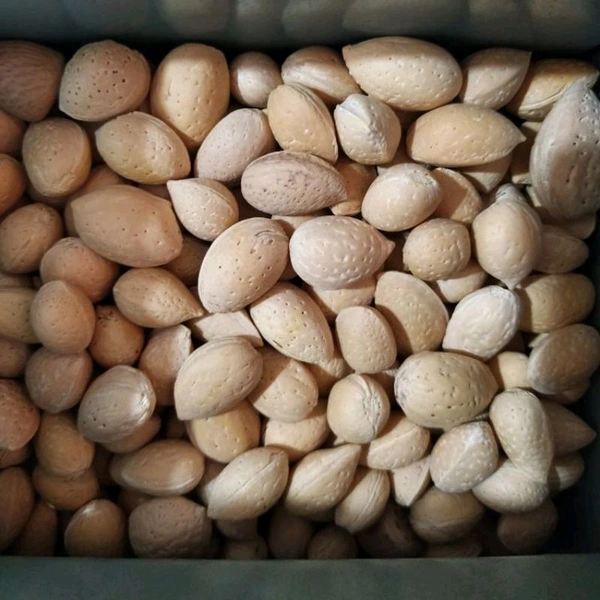 Pooja Badam Fresh Premium Quality - 1 Kg