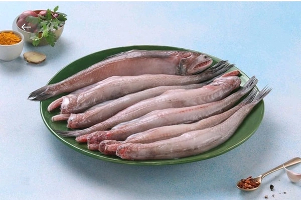 Bombay Duck (Late Mach) (500-Grams) Cut & Clean 