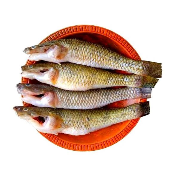 Goby Fish (Bele Mach) (500-Grams) Cut & Clean 