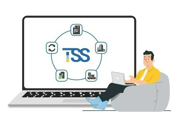 Tally Software Services - Auditor