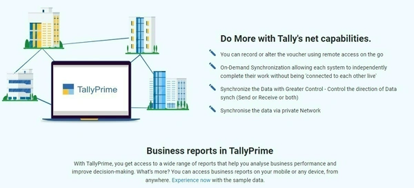 Tally Software Services - Auditor - Multi User
