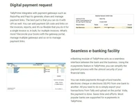 Tally Software Services - Auditor - Multi User