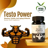Testo Power
