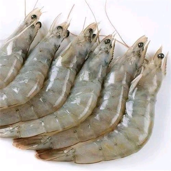Prawns (Big) Shrimp Jhinga 2kg - (23 gm/Pcs) Ice