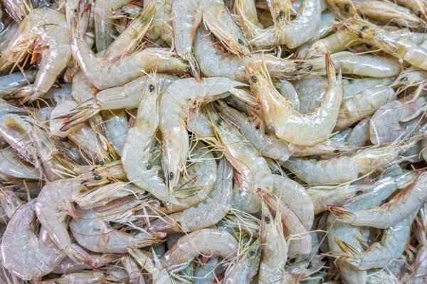 Prawns (Medium) Shrimp Jhinga 2kg - (15gm/Pcs) Ice