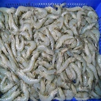 Prawns (Medium) Shrimp Jhinga 2kg - (15gm/Pcs) Ice