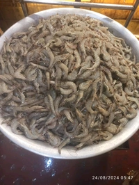 Prawns (Medium) Shrimp Jhinga 2kg - (15gm/Pcs) Ice
